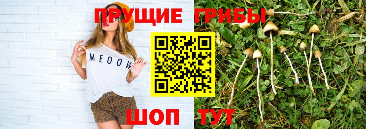 Выкса  Галлюциногенные грибы ЛСД  Галлюциногенные грибы мухоморы  Вход с VPN 